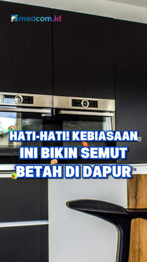 Hati-Hati! Kebiasaan Ini Bikin Semut Betah di Dapur