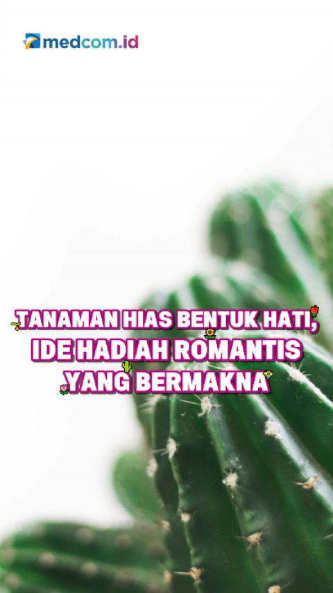 Tanaman Hias Bentuk Hati, Ide Hadiah Romantis yang Bermakna