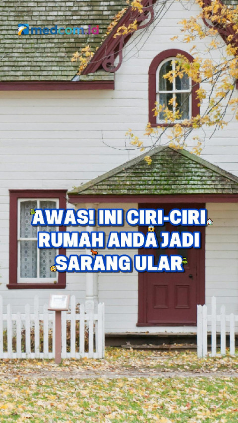 Awas! Ini Ciri-ciri Rumah Anda Jadi Sarang Ular