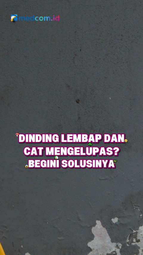Dinding Lembap dan Cat Mengelupas? Begini Solusinya