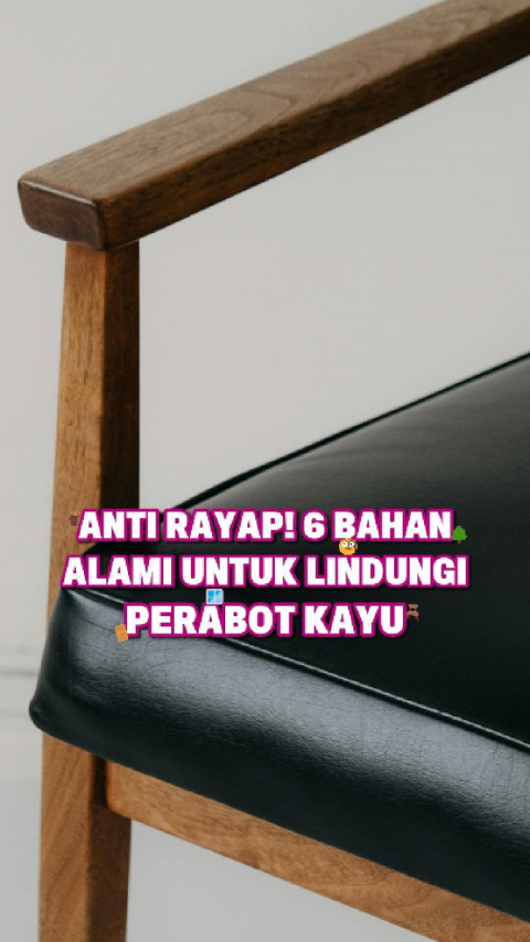 Anti Rayap! 6 Bahan Alami untuk Lindungi Perabot Kayu