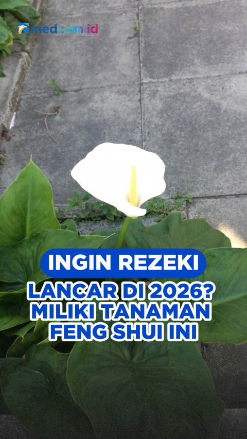 Ingin Rezeki Lancar di 2026? Miliki Tanaman Feng Shui Ini