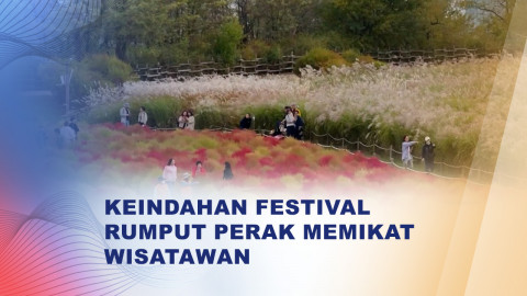Festival Rumput Perak Seoul, Hamparan Perak dan Merah Warnai Musim Gugur