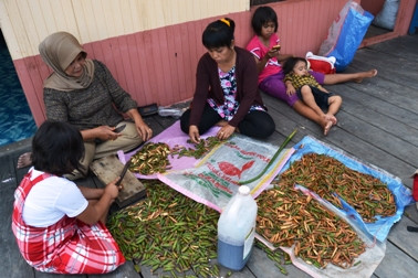 Menambah Penghasilan di Kala Senggang dari Buah Mangrove