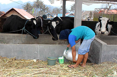 Korban Erupsi Gunung Kelud Mandi Pakai Air Mineral