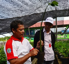 Ali Berniat Mengangkat Derajat Masyarakat Pesisir Melalui Mangrove