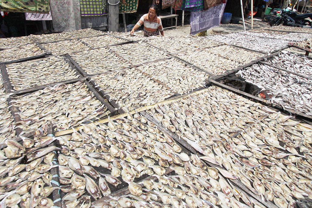 Tingkatkan Pemanfaatan Unit Pengolahan Ikan