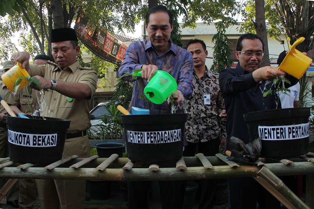 Gerakan Menanam Cabai di Pot