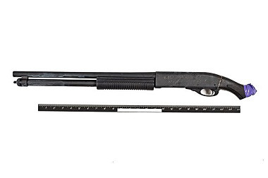 Dikira Pencuri, Seorang Remaja di AS Tewas Ditembak