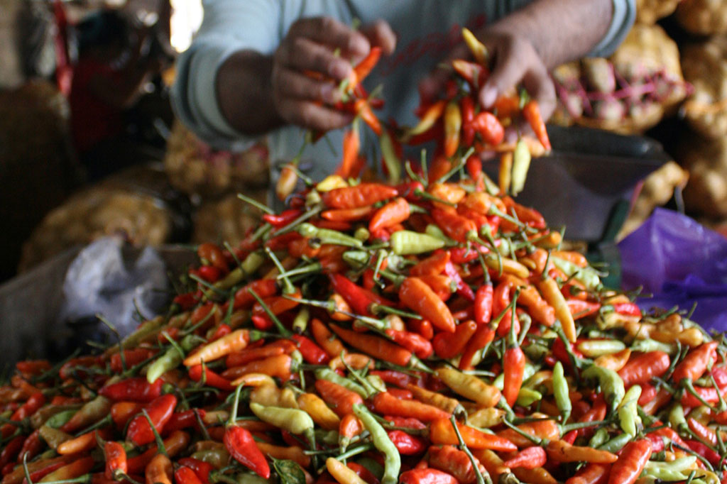 Harga Cabai Rawit Turun 