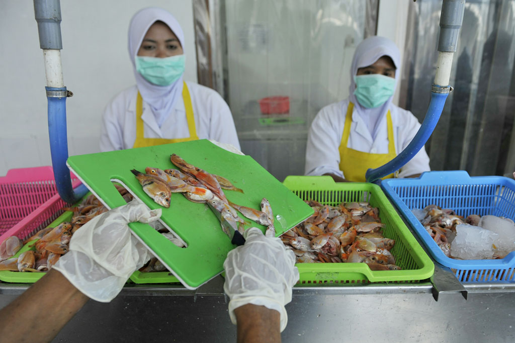 Pengolahan Ikan Binaan Pertamina