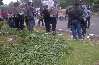 Perayaan May Day, Tanaman di Depan Istana Rusak