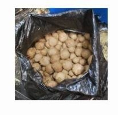 Polisi Buru Pemasok Bakso Celeng