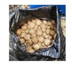 Bakso Daging Celeng, Ah itu Biasa...