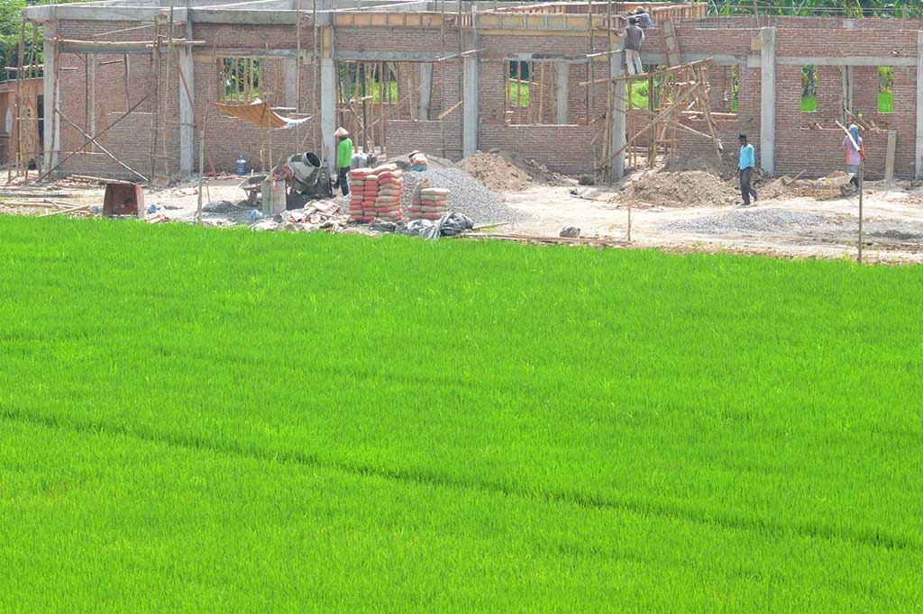 Alih Fungsi Lahan Pertanian Mengkhawatirkan