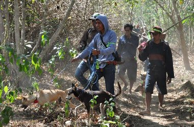 Merasa Terusir, Masyarakat Adat Anggap Indonesia belum Merdeka