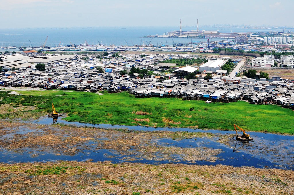 Waduk Pluit Mulai Dipenuhi Eceng Gondok - Medcom.id