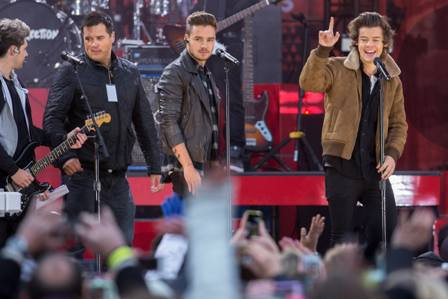 Tata Cara Pembelian Tiket Konser One Direction