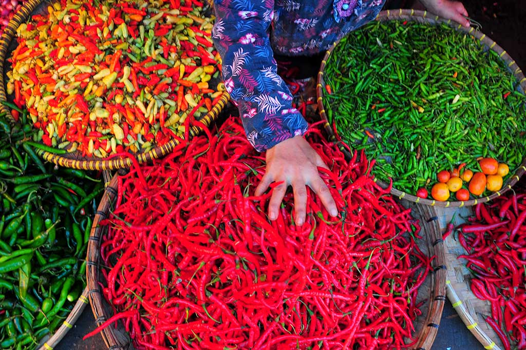 Harga Cabai Merah di Tegal Naik