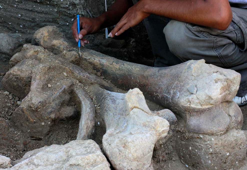 Ilustrasi-- REUTERS/Ulises Rodriguez