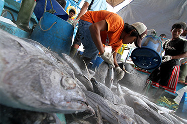 Blue Economy Potensial Wujudkan Jutaan Wirausaha Baru