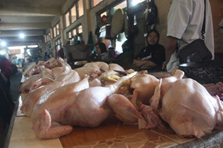 KPPU Menduga Harga Daging Ayam Tinggi karena Ulah Broker