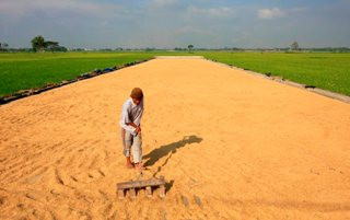 10 Terobosan Hadapi Beban Ekonomi Warisan SBY