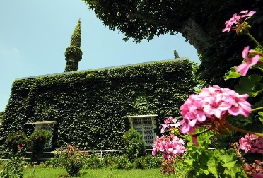 Yesil Ivy, Masjid Berselimut Tumbuhan di Turki