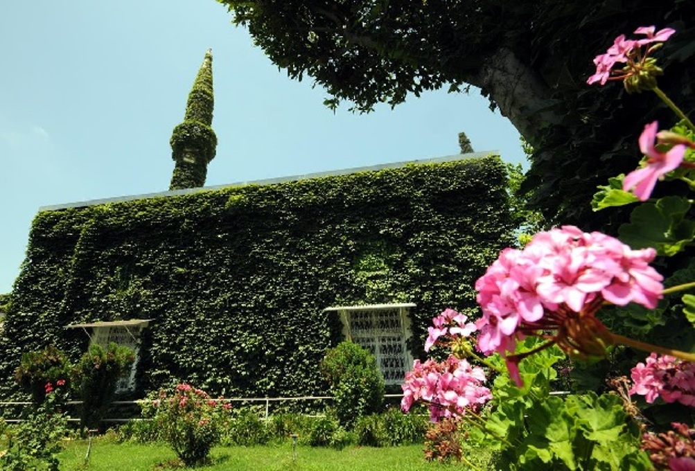 Masjid Yesil Ivy di Turki. Worldbulletin