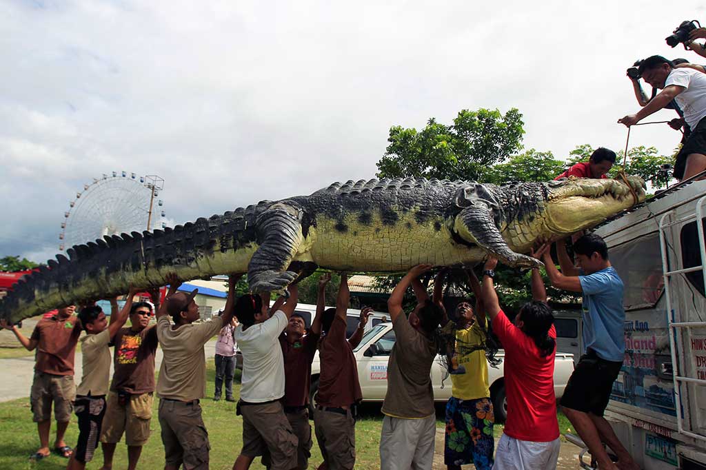 Longlong, Robot yang Terinspirasi Buaya Lolong 