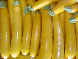 Hidangan Alternatif Berbuka: Zukini dengan Keju Nabulsi