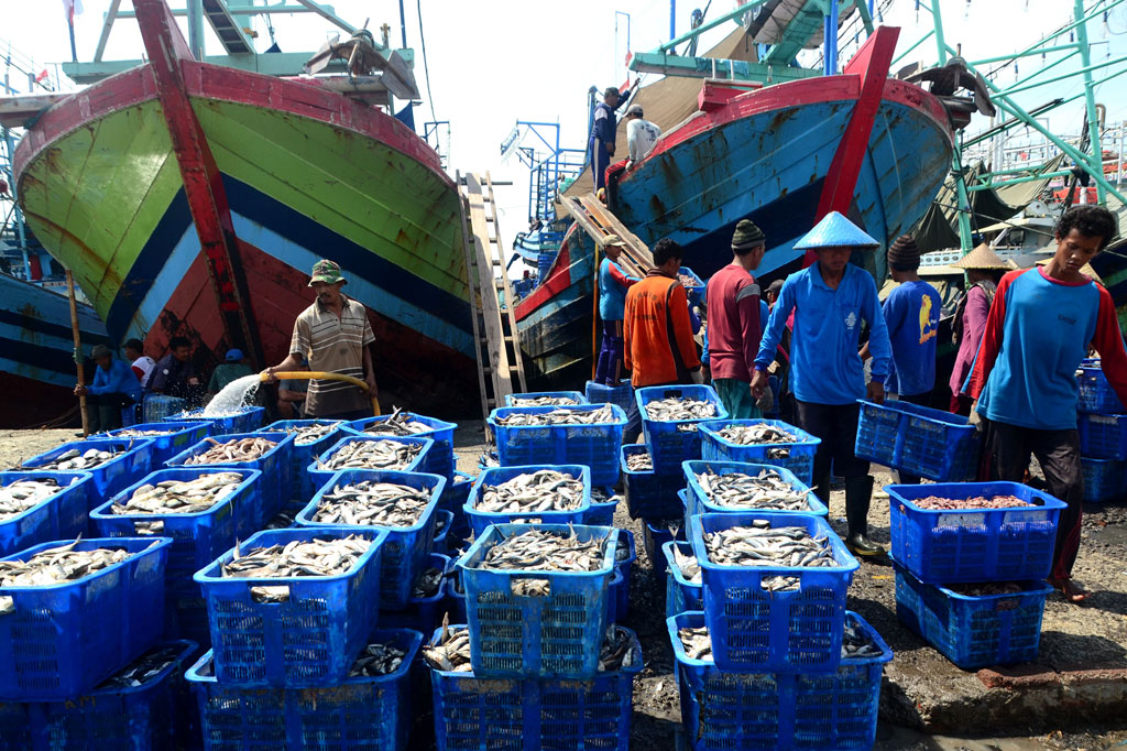Tangkapan Ikan Nelayan di Tegal Melimpah