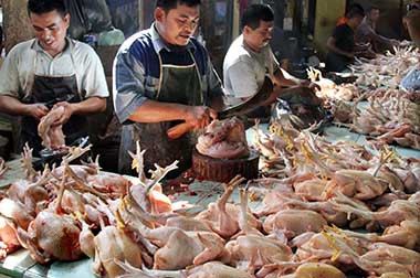 Harga Daging Ayam di Bengkulu Turut Naik