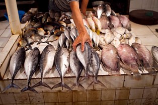 Memenuhi Kebutuhan Gizi Puasa dengan Ikan 