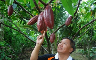 Devisa Hasil Perkebunan Bali US$1 Juta