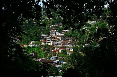 Wabah Ebola, Jerman Desak Warganya Tinggalkan Afrika Barat