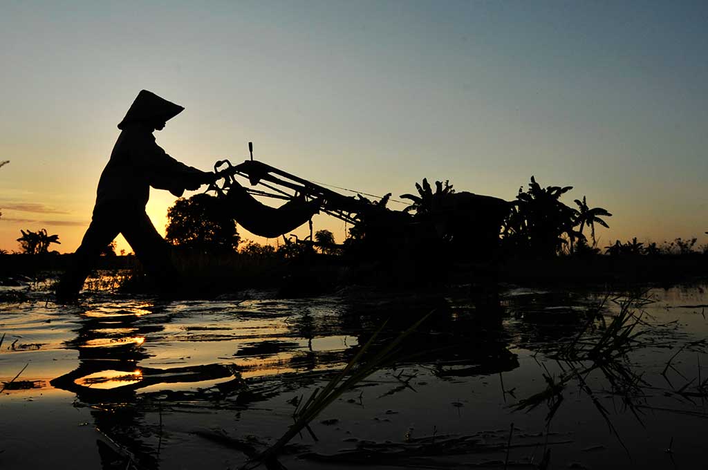Areal Persawahan di Gowa Menyempit