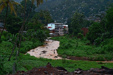 Cegah Ebola, Negara Afrika Barat Tutup Perbatasan