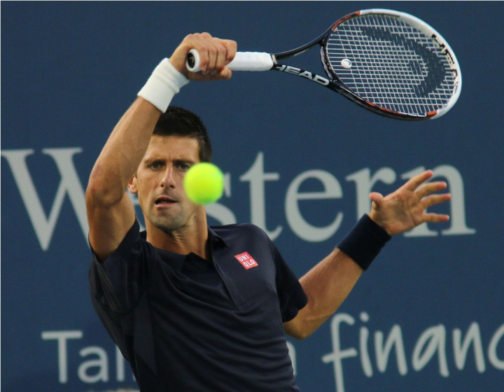 Kalah dari Robredo, Ini Alibi Djokovic