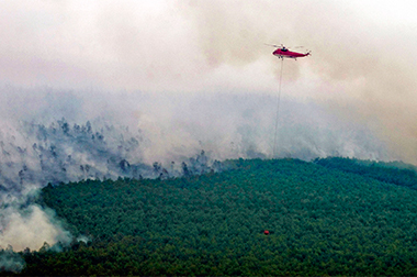 Pengamat: Perlu Konsep Strategis tekan Kebakaran Hutan