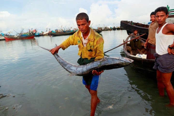 Pemerintahan Baru Diharap Berantas <i>Ilegal Fishing</i>