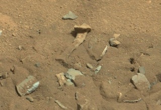 'Tulang Alien' Ditemukan di Mars 
