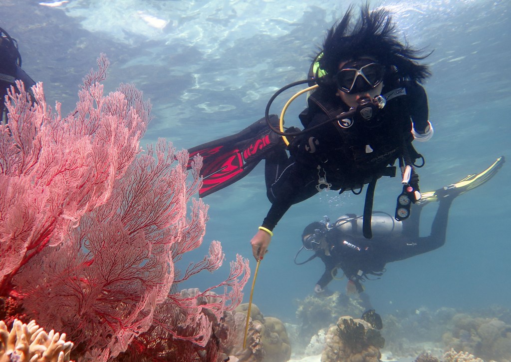 Penyelam dari Alexa Scuba memperhatikan sejumlah biota laut di kawasan Pulau Hari, Konawe Selatan, Sultra, Ahad (14/9/2014) - ANT/Ekho Ardiyanto