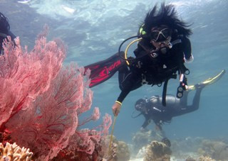 Indonesia Butuh 2.400 Ahli Kelautan