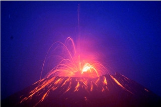 Vegetasi di Lereng Gunung Slamet Terbakar