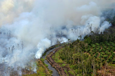 Kebakaran Lahan Gambut di Trans Kalimantan Dekati Rumah Warga