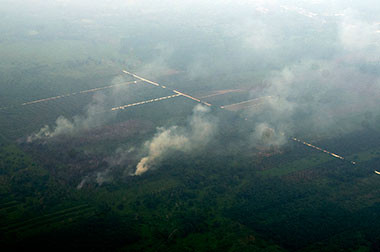 Ada 727 Titik Api, Udara Riau Sangat tidak Sehat