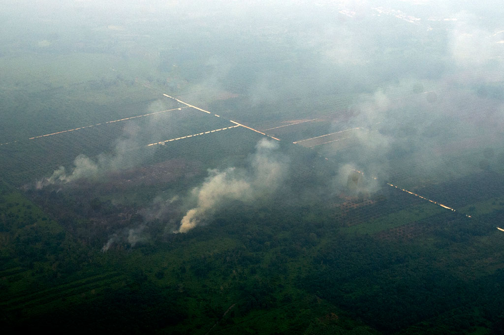 Kebakaran lahan di Riau. (Foto: Antara/Wahyu Putro)