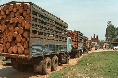 Investigasi <i>Illegal Logging</i>, Jurnalis Kamboja Ditembak Mati