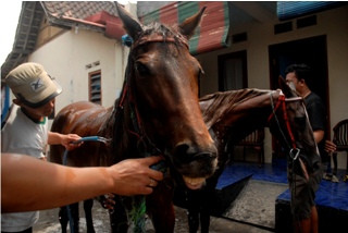Mudjiono, Kusir Kereta Kencana Jokowi